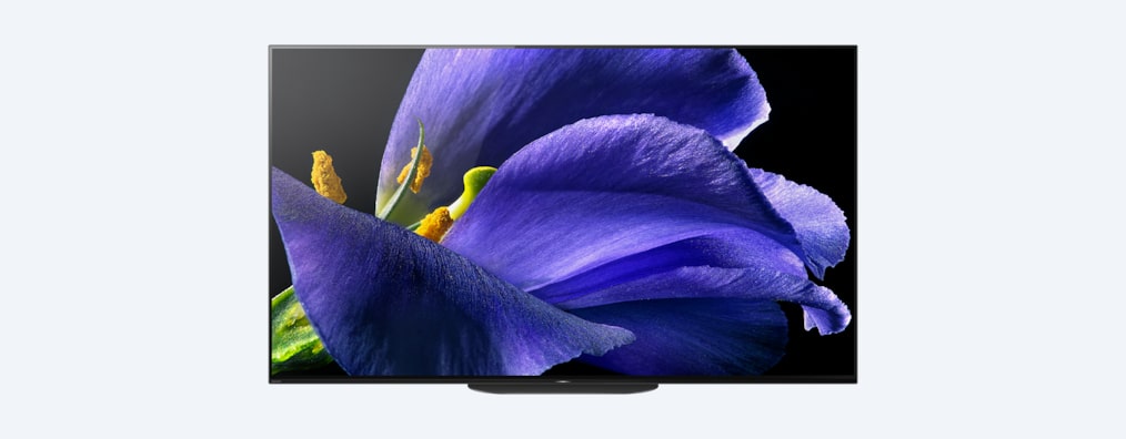 65A9G | MASTER Series | OLED | 4K Ultra HD | HDR | Smart TV (TV Android)